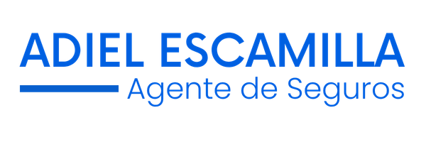 Agente de Seguros en Toluca | agentedesegurosentoluca.com